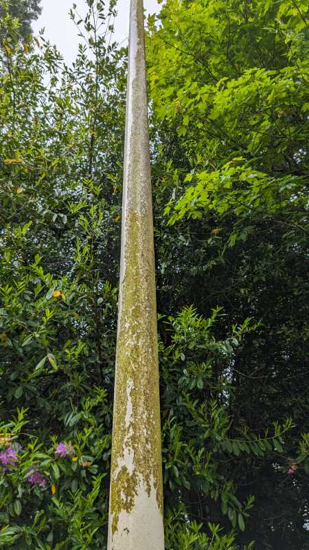 PXL_20240522_111504721.MP