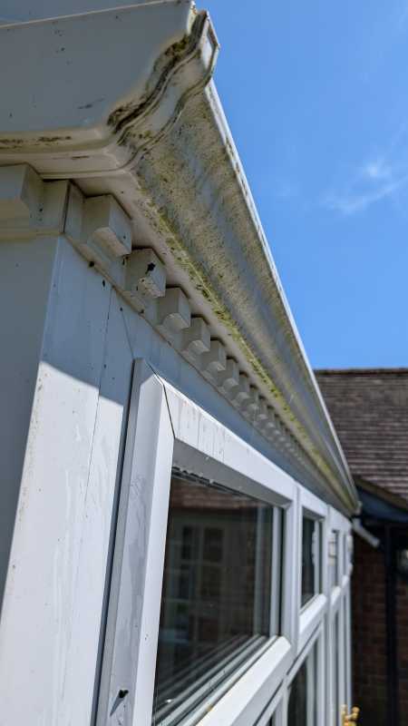 PXL_20240719_125212535.MP